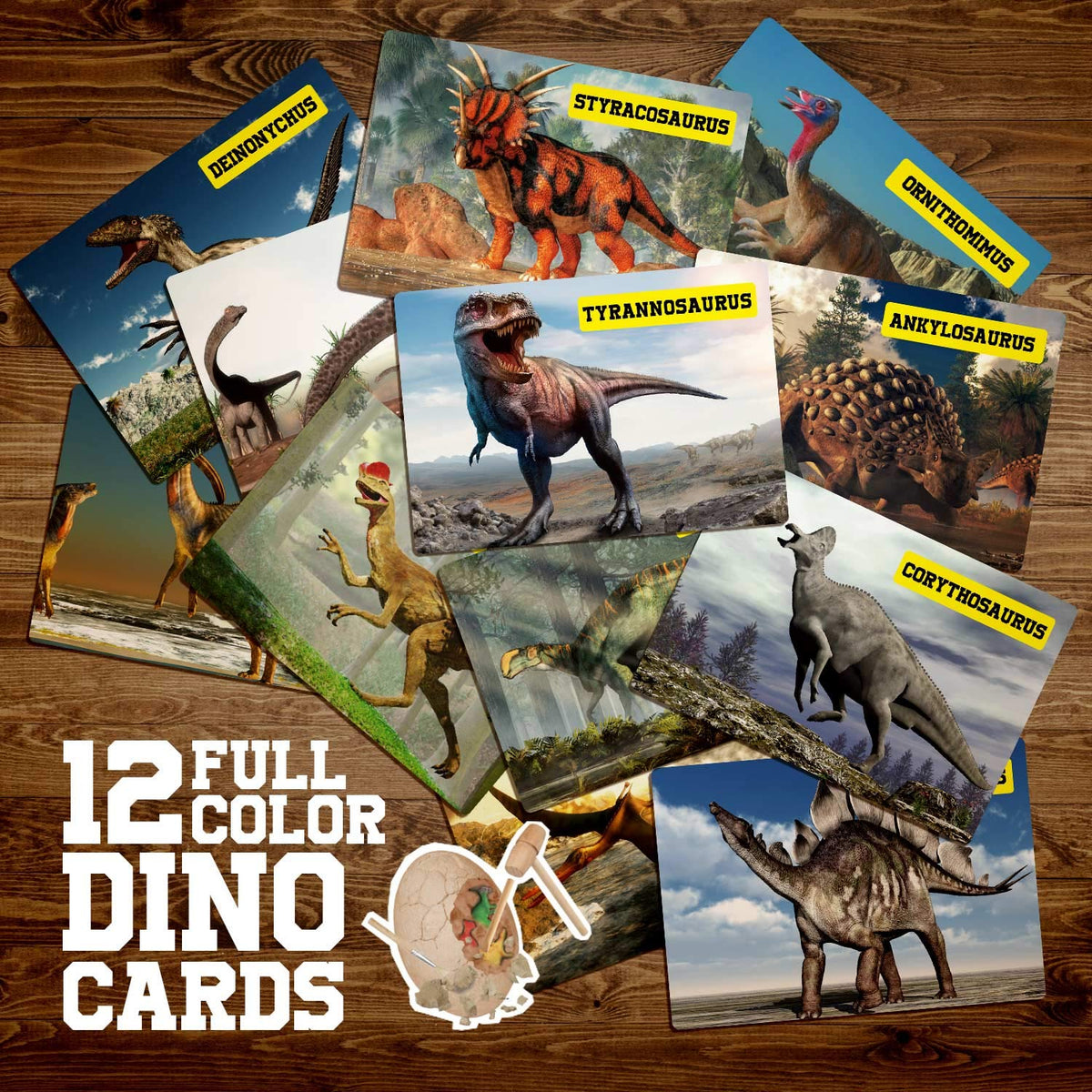 XX Toys learning cards help identify discovered dinosaurs