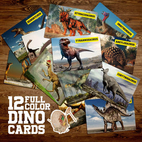XX Toys learning cards help identify discovered dinosaurs
