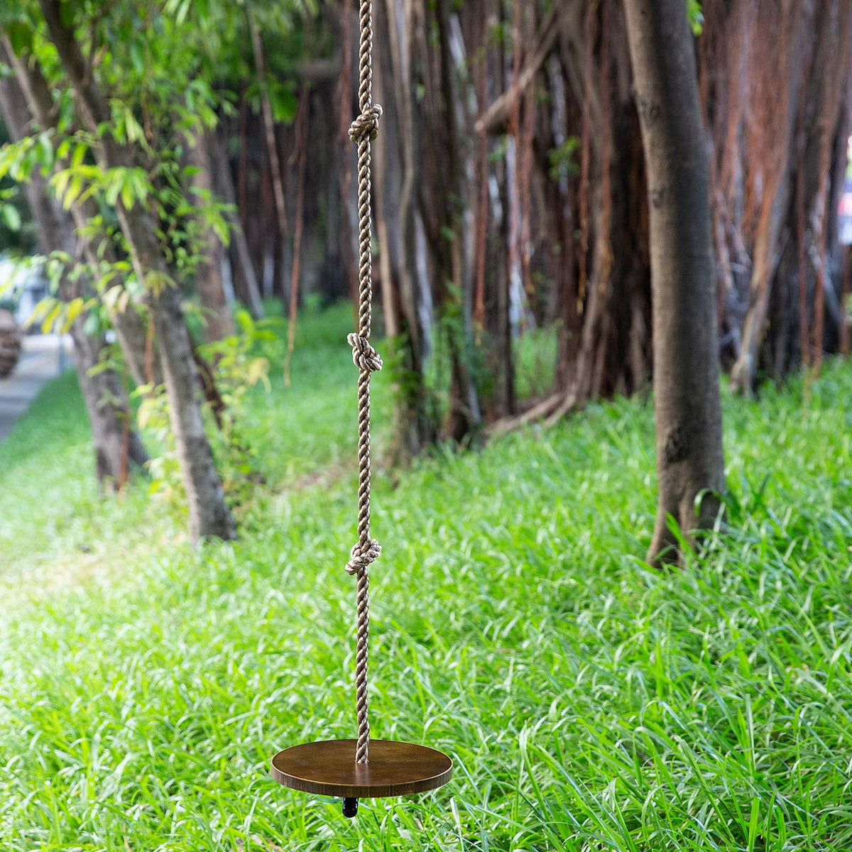 Perfect for backyard parties, birthdays, or daily play sessions