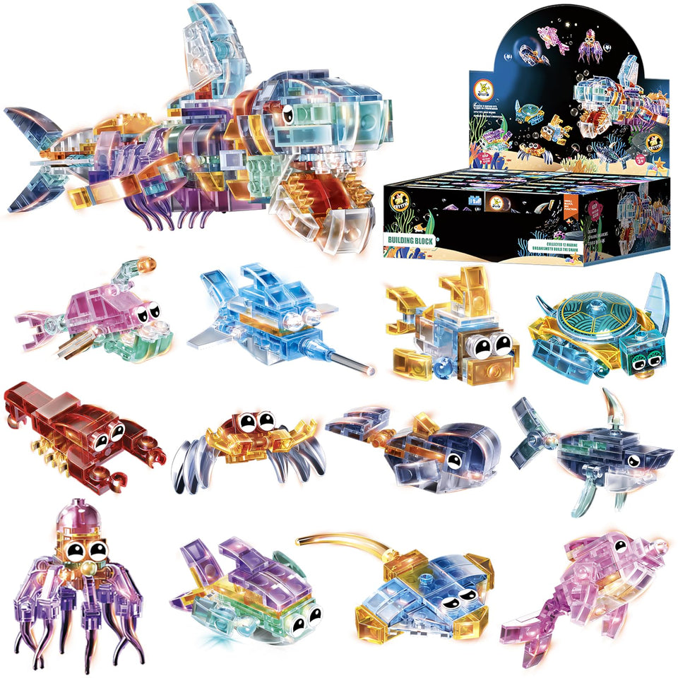 YCJZXMS marine blocks set in a colorful box for easy gifting and display