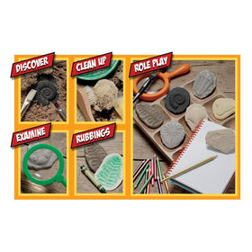 Yellow Door fossil stone clam shell ideal for tactile learning and storytelling.