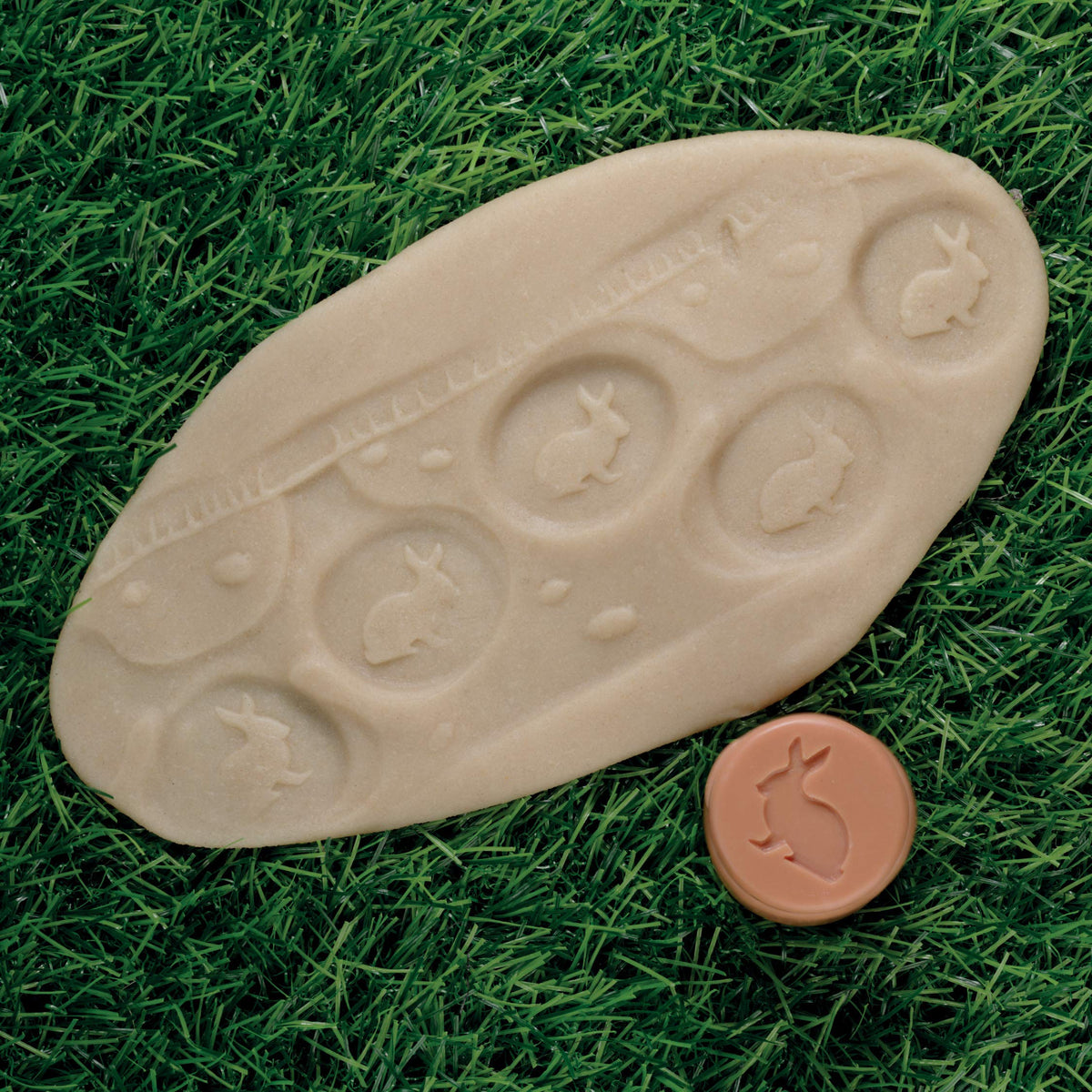 Yellow Door forest friends roller: moth and fern invites tactile craft and story prompts.