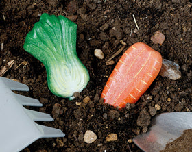 Yellow Door vegetable stones mushroom stone offers versatile texture for imaginative recipes