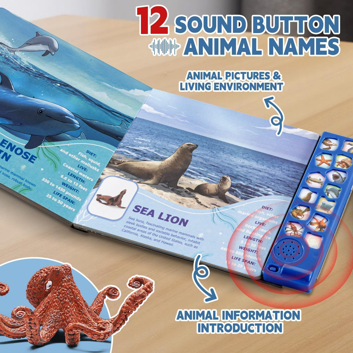 Yeonha Toys gift box ocean toy set ideal for gifts and party favors