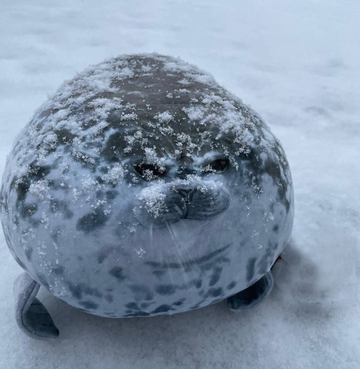 YESGIRL seal plush care tips help restore fluff after unpacking