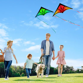 YFAFENGS delta kite pack display with three color gradients for group fun