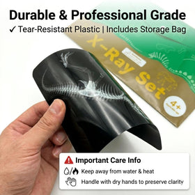 Yichushisu durable professional-grade X-ray film for classrooms