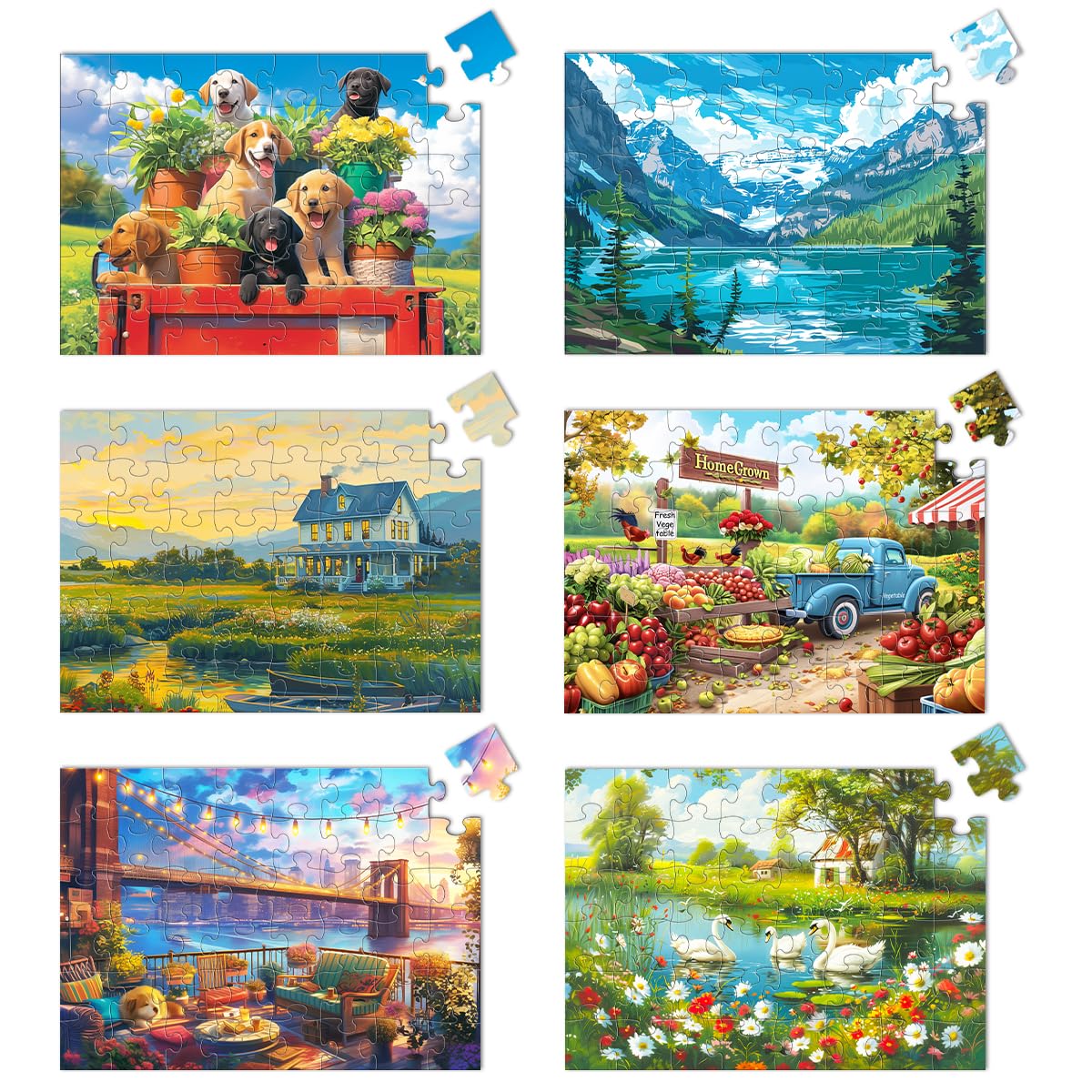 Yigney 6-pack 48-piece large-senior-puzzles for better dexterity and cognitive engagement.