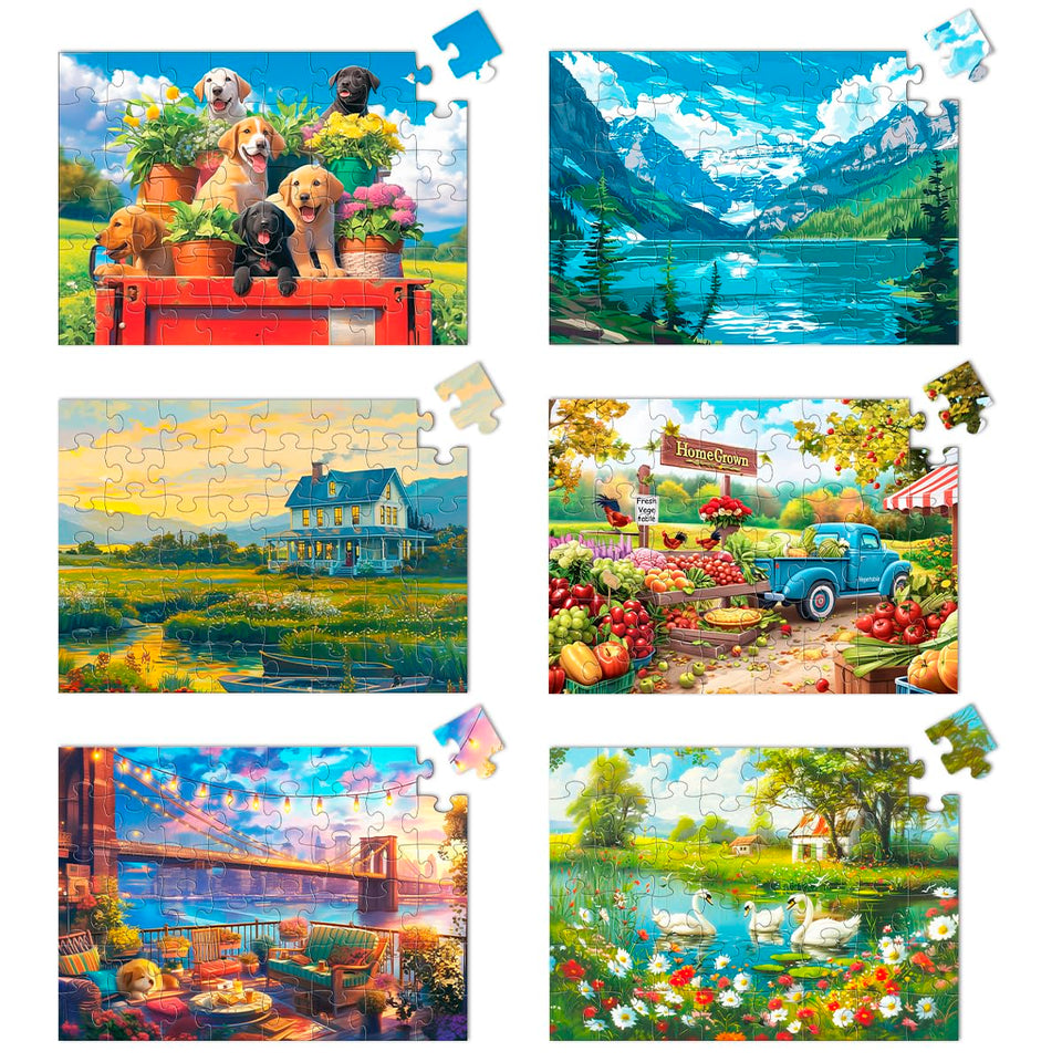 Yigney 6-pack 48-piece large-senior-puzzles for better dexterity and cognitive engagement.