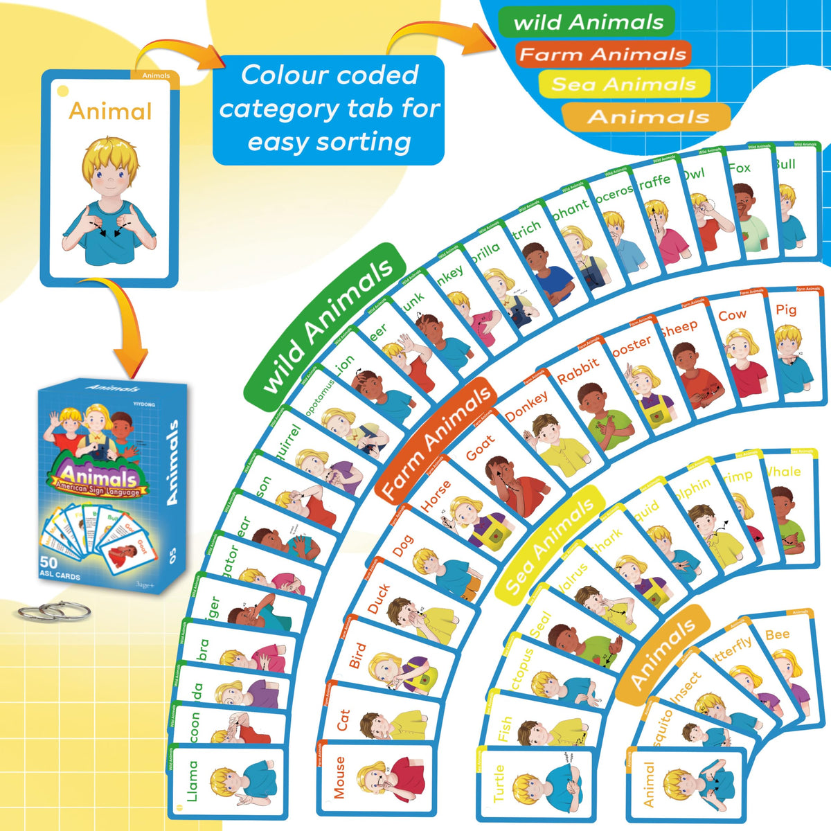 YIYDONG ASL flash cards storage box for organized materials