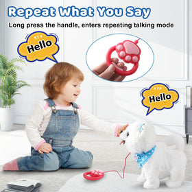 Ylpaprm educational toy promotes grooming imagination and social play.