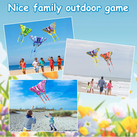Kite handle and packaging included for convenient gifting.