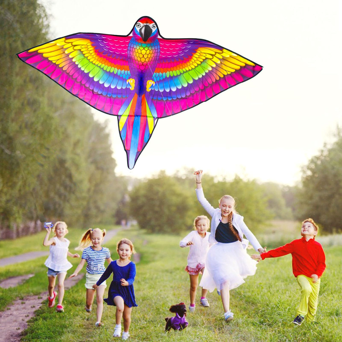 YongnKids parrot kite easy assembly with kids and parents