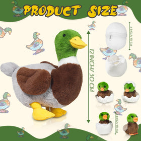 Youthfuljive half-shell egg, cute display piece and storytelling prop