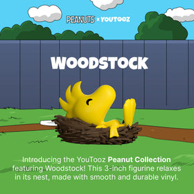 Nest packaging artwork highlighting Woodstock nest scene for collectors.