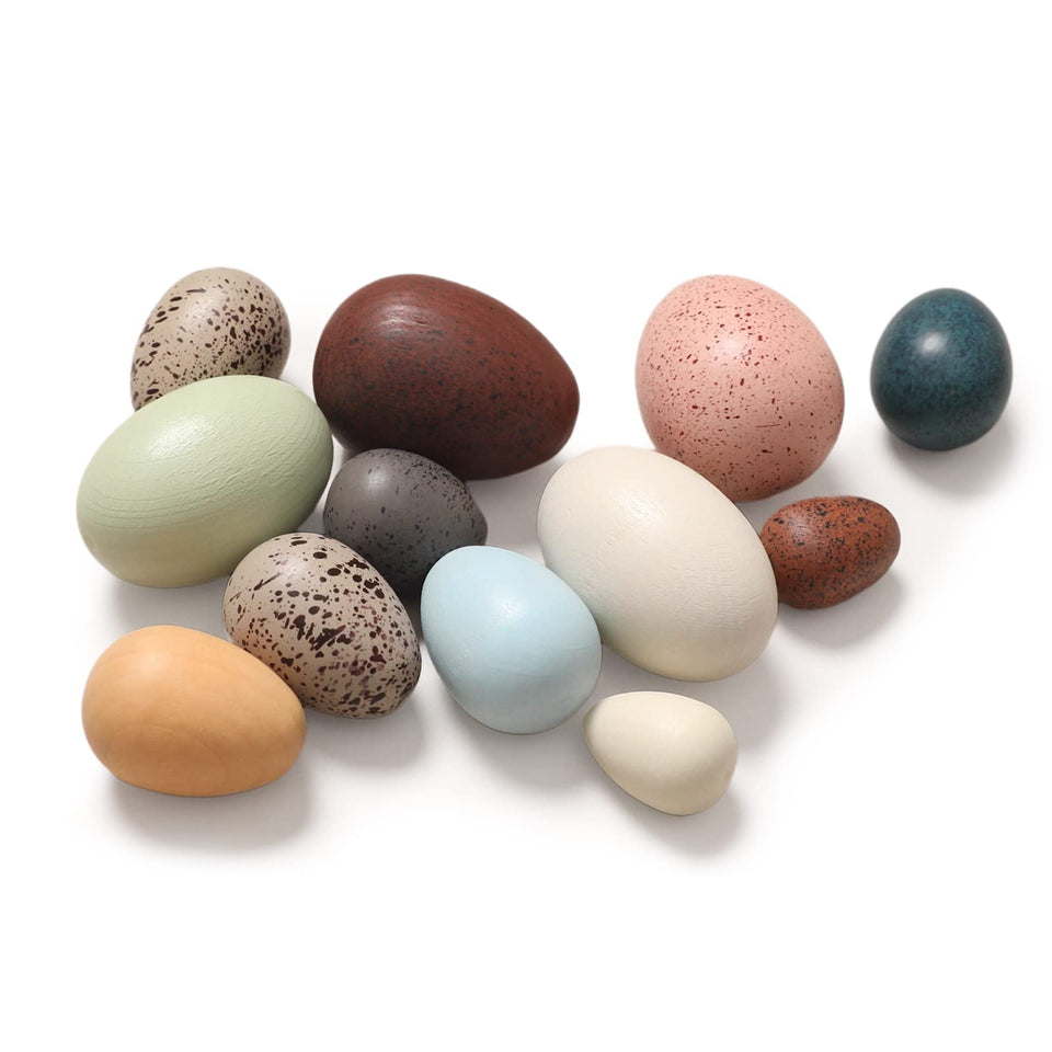 Youuys wooden Easter eggs 12pcs mixed sizes for sorting and color exploration.