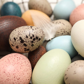 Youuys eggs neatly packaged in gift ready box with protective Raffia.