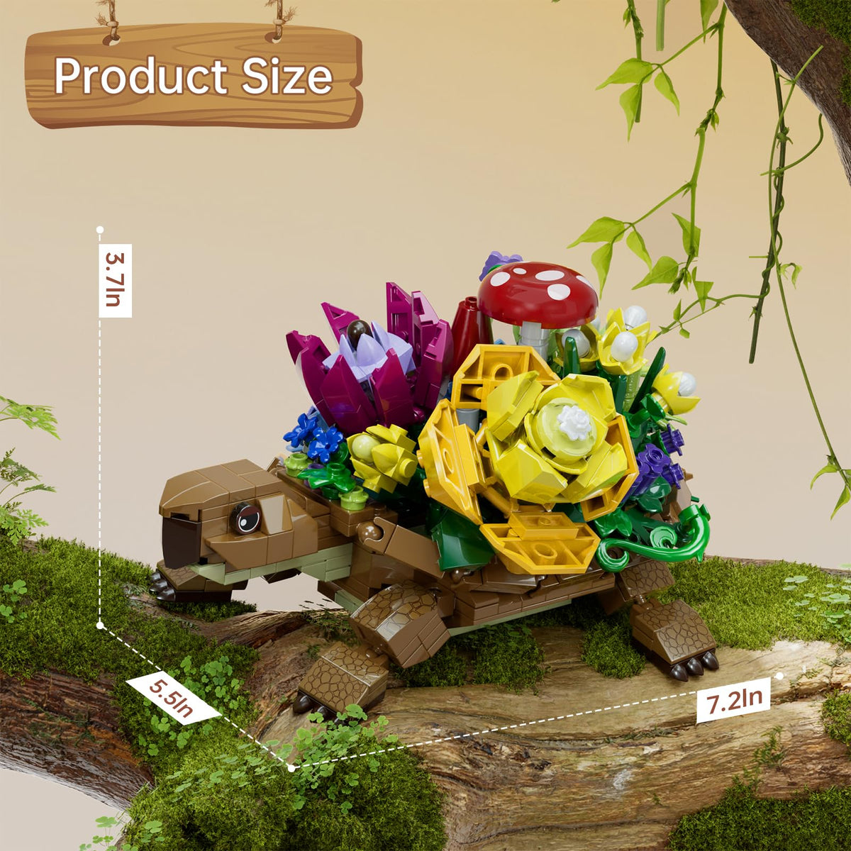 YOYBLOXY turtle seeder final assembled size shown with varied succulents