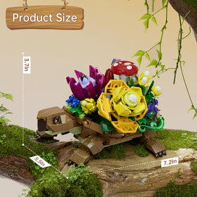 YOYBLOXY turtle seeder final assembled size shown with varied succulents