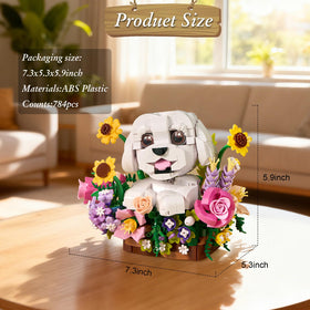 YOYBLOXY succulent plants arrangement in colorful bloom mix