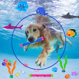 YUJUN seaweed pieces for creative dive obstacle games