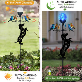 YY Gardenia color-changing LED crackle glass ball lights enhance evenings in the yard.