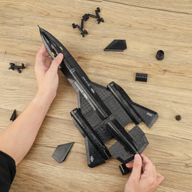 YYKNGYI SR-71 brick-compatibility note demonstrates cross-brand build options.