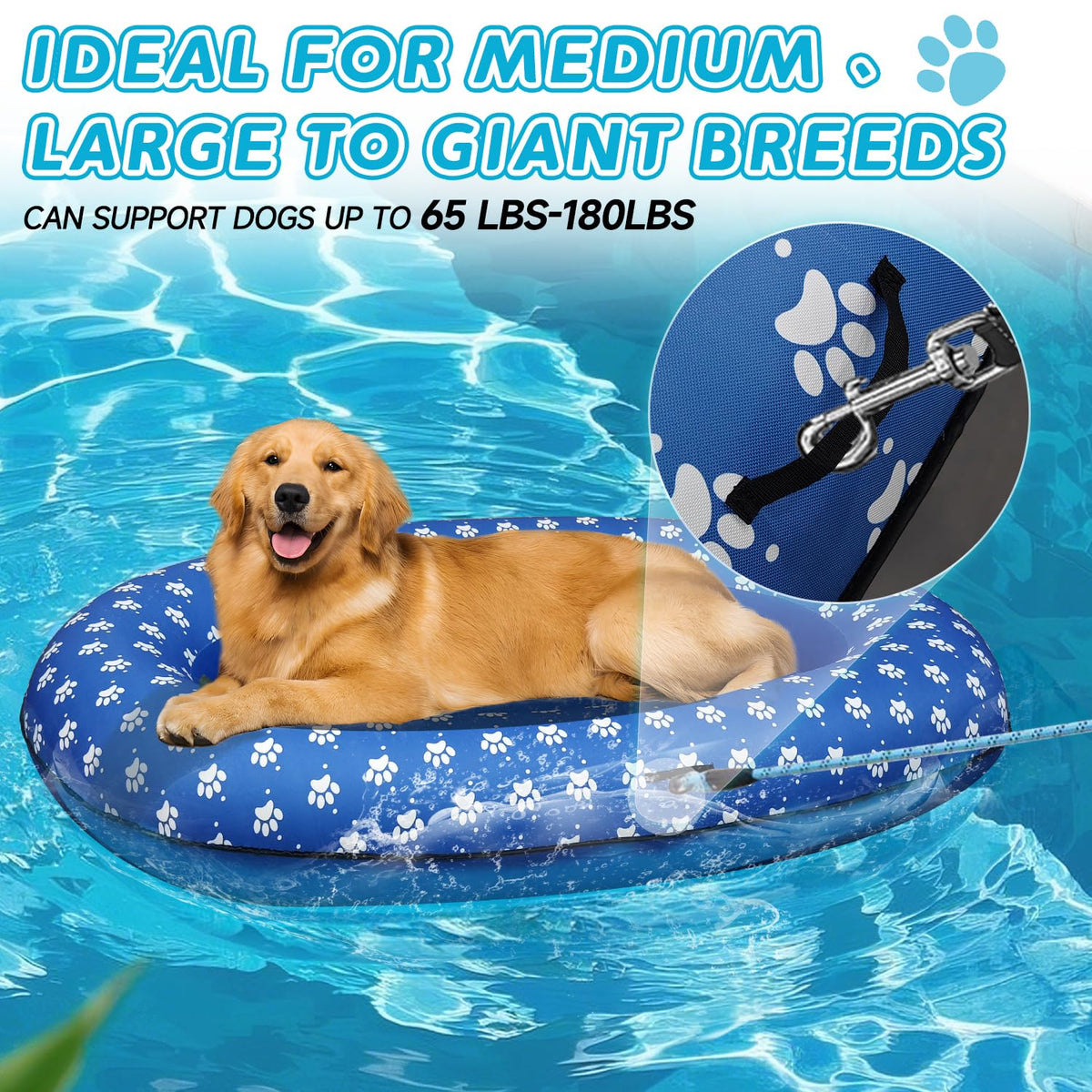 Zaichare dog float with side drainage holes keeps your pup cool.