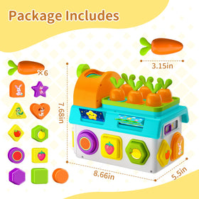 Zardali magical-carrot-garden invites hands-on exploration and imaginative discovery.