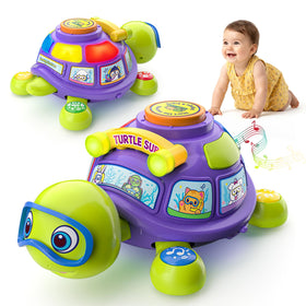 Zardali musical turtle during tummy time inviting exploration and motor coordination