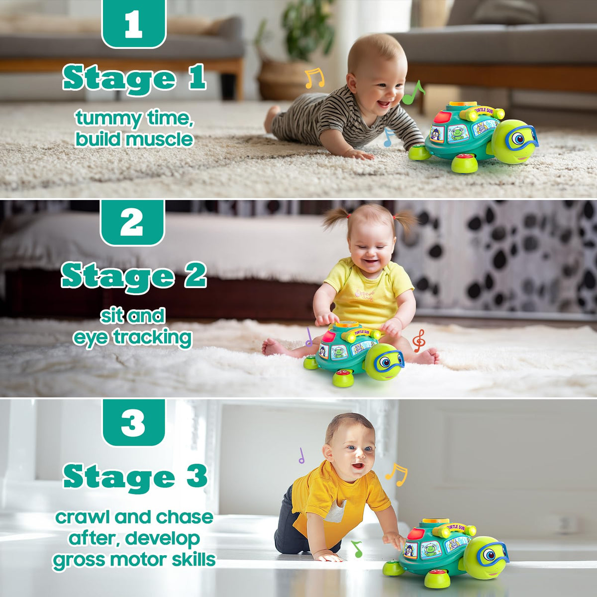 Zardali turtle crawling chase encourages active movement and coordination.