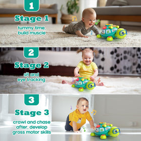 Zardali turtle crawling chase encourages active movement and coordination.