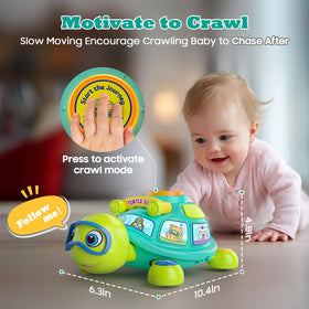 Zardali turtle learning mode teaches alphabet and numbers in two languages.