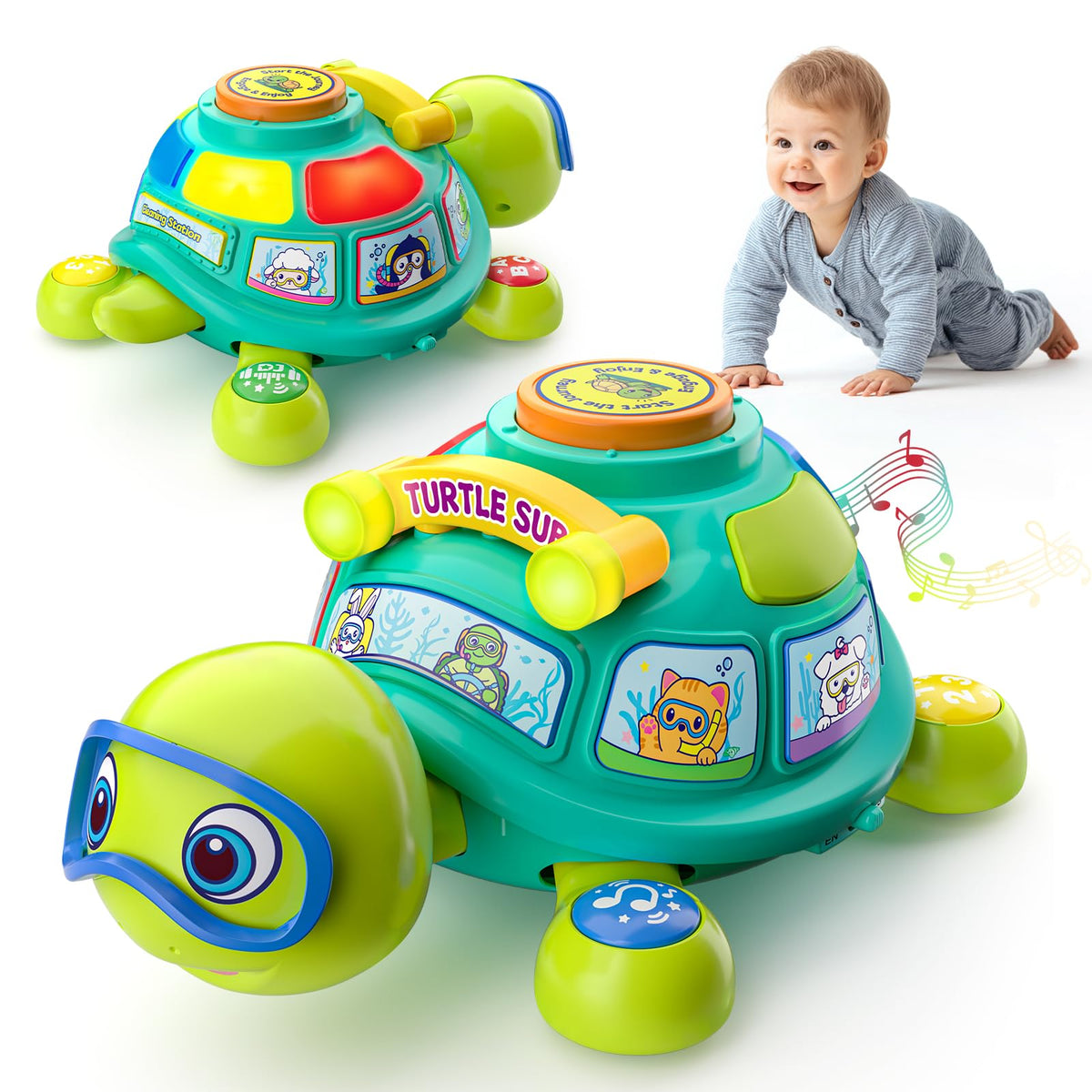 Zardali turtle tummy-time movement aids early motor exploration.