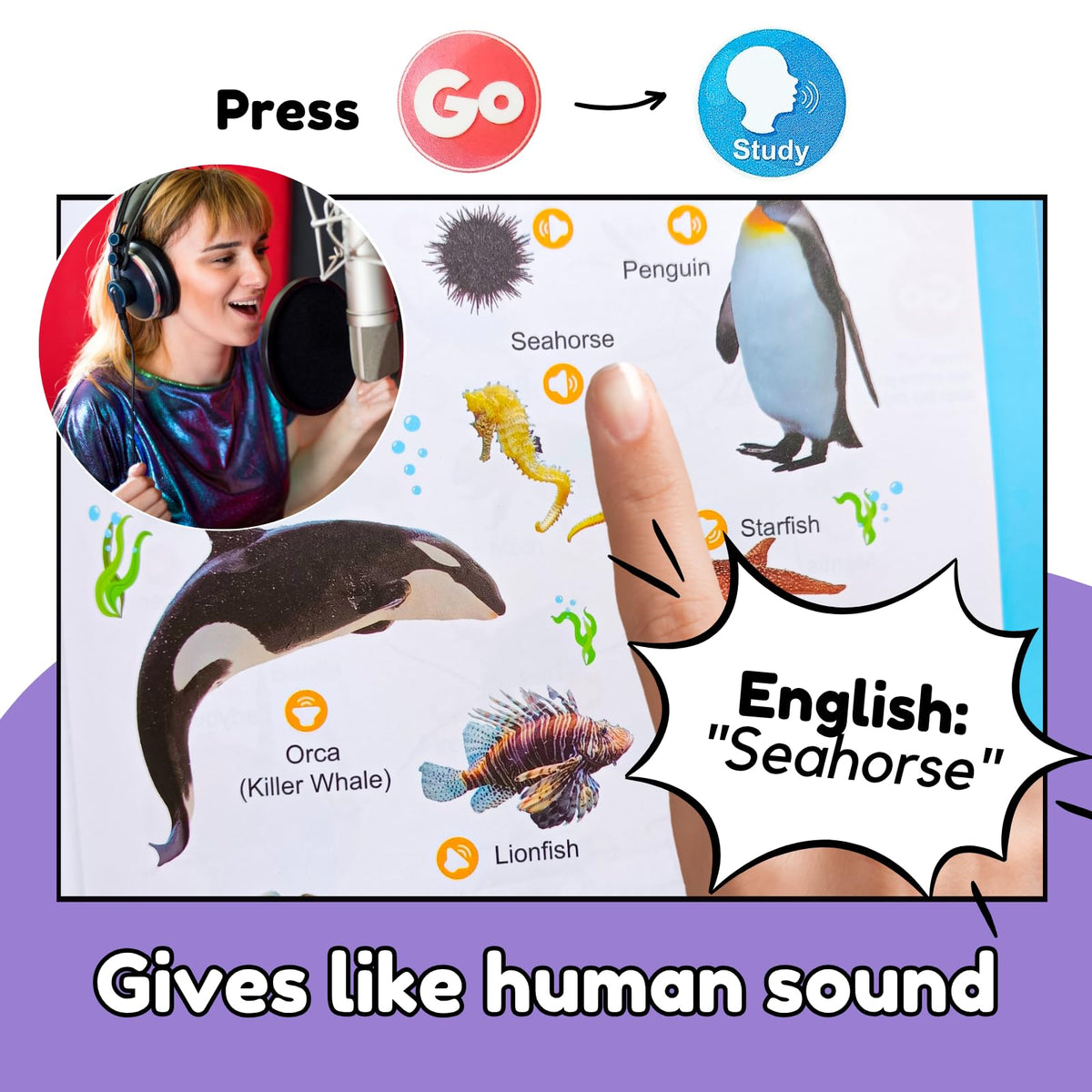 ZeenKind nursery rhymes section for singing along during travel or home learning.
