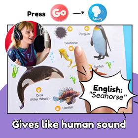 ZeenKind nursery rhymes section for singing along during travel or home learning.