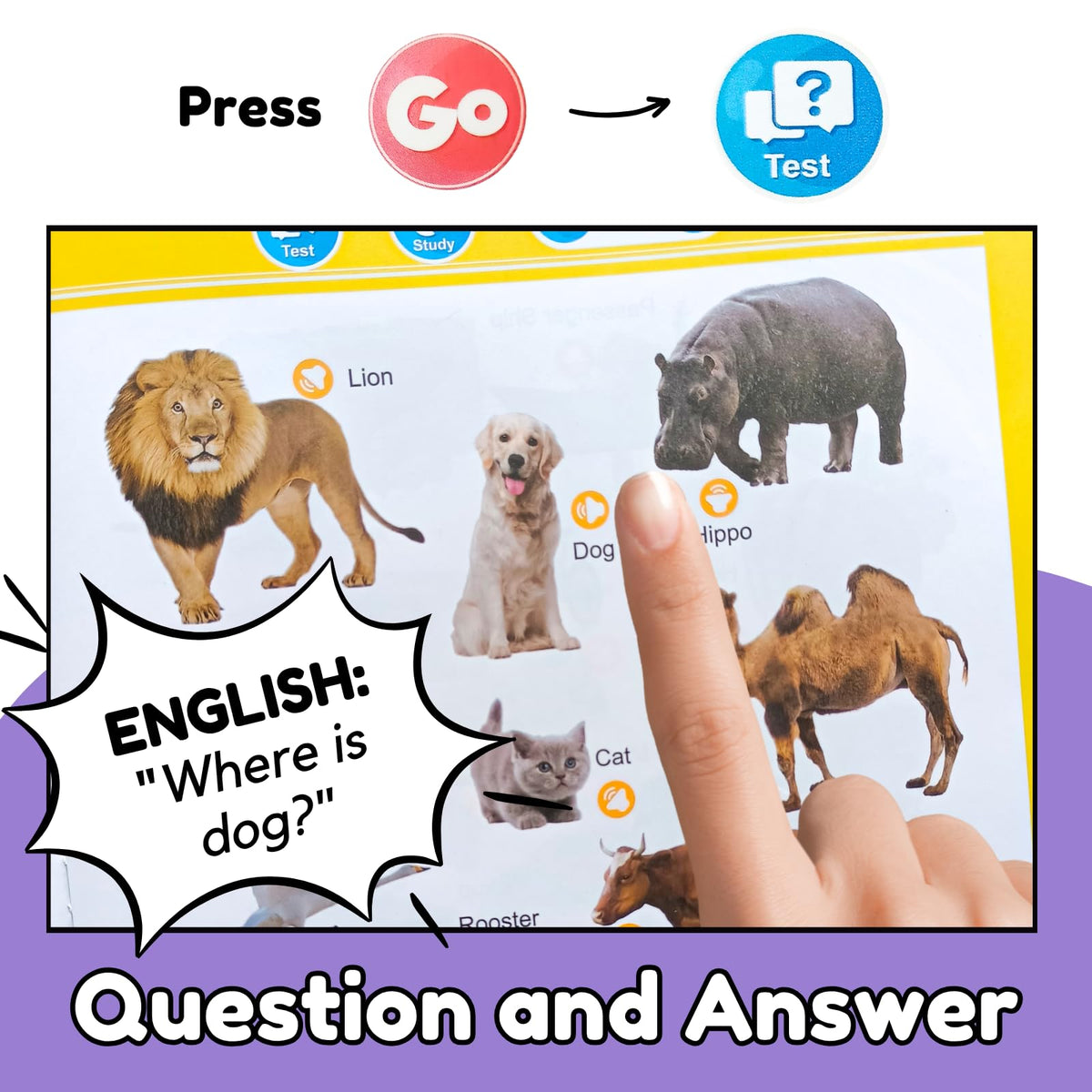 ZeenKind pages featuring 300+ English words for vocabulary expansion.
