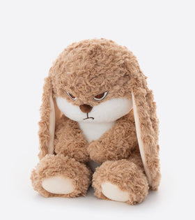 ZEIO Grumpy Bunny gift-ready packaging for thoughtful gifting