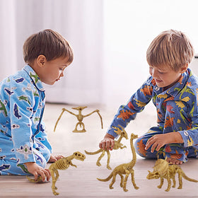 ZHFCGO skeletons on display ideal for classrooms and science games.
