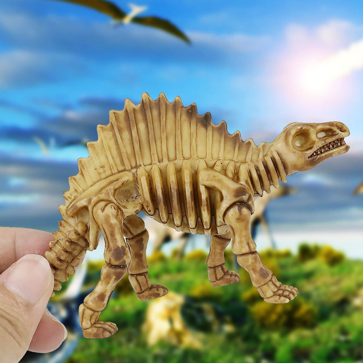 ZHFCGO dino skeletons ready for beach activities and educational fun.