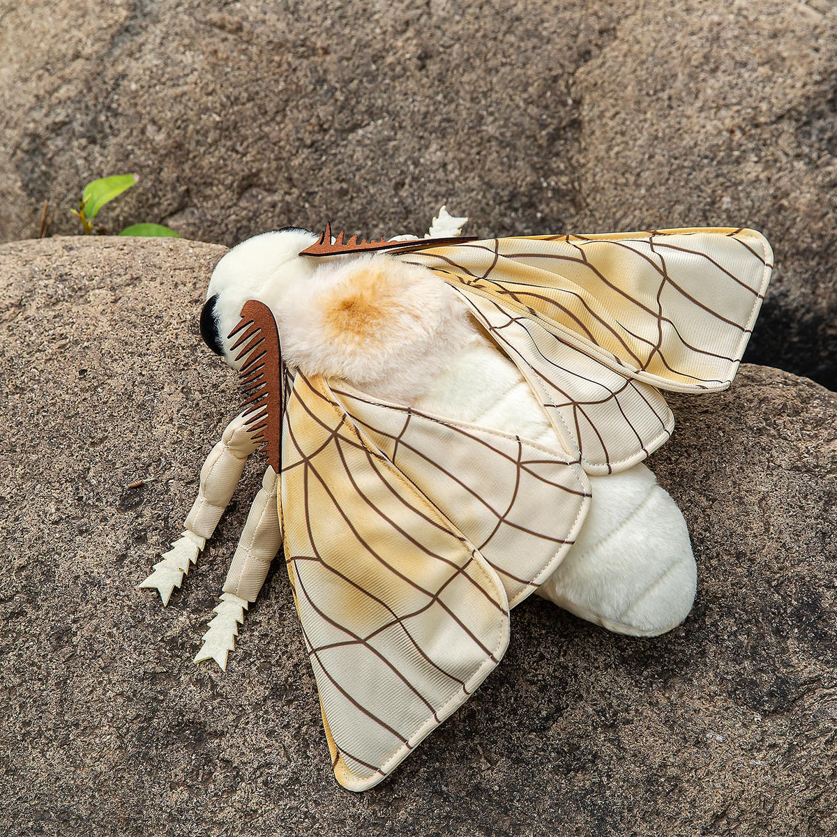 ZHONGXIN MADE Silk Moth Plush 11in close-up eyes highlighting vivid, approachable expression.