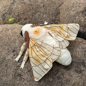 ZHONGXIN MADE Silk Moth Plush 11in close-up eyes highlighting vivid, approachable expression.