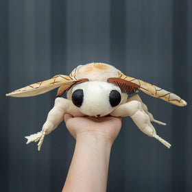 ZHONGXIN MADE Silk Moth Plush 11in fluffy filling for plush softness and bounce.