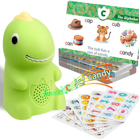 ZIKAQUQI phonics flashcards with talking pen for word recognition and reading practice.