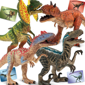 Zippytots Dino set ideal for gift-giving and shared play.