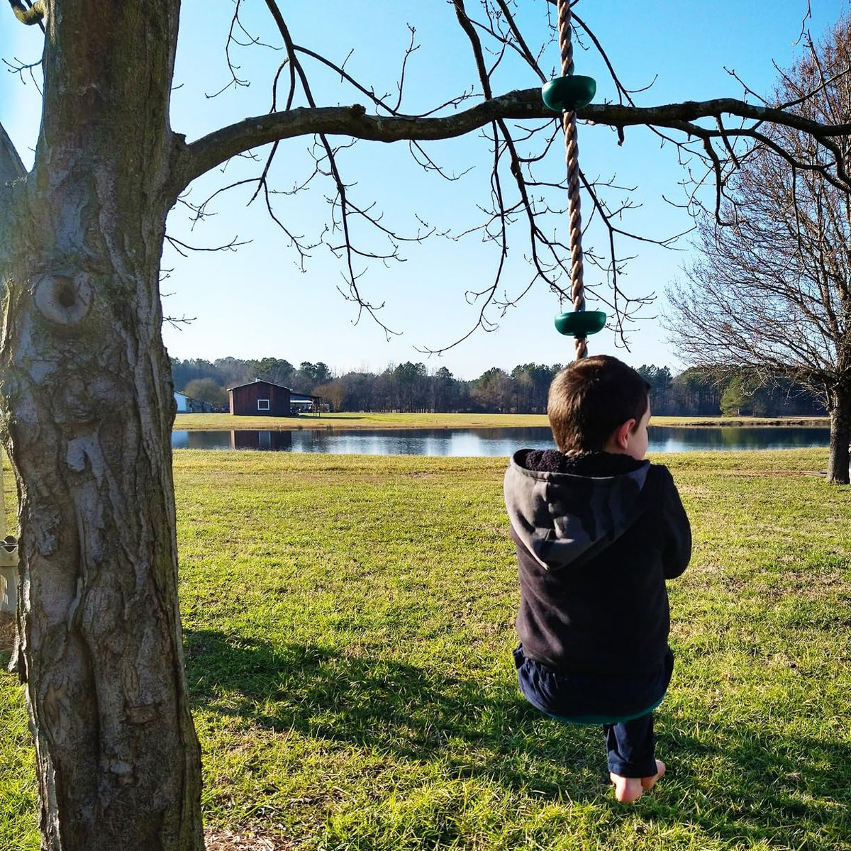 ZNCMRR backyard installation shows versatile tree swing setup for families