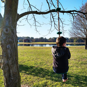 ZNCMRR backyard installation shows versatile tree swing setup for families