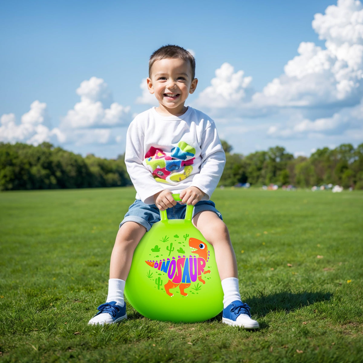 Vibrant ZOOJOY packaging highlights gift-ready design and colors.