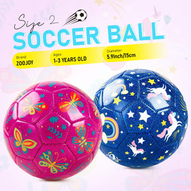 ZOOJOY size-2 ball includes pump and mesh bag for easy storage and setup.