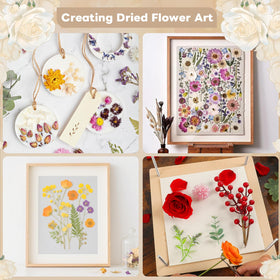 Zunmial thickened cardboard supports large flowers during pressing.